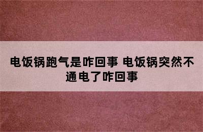 电饭锅跑气是咋回事 电饭锅突然不通电了咋回事